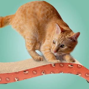 Cat_Scatchers